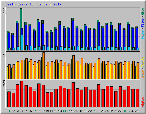 Daily usage for January 2017