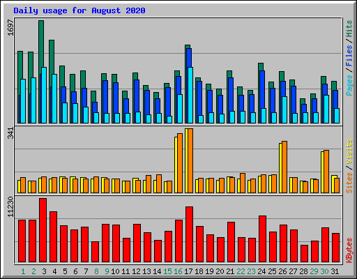 Daily usage for August 2020