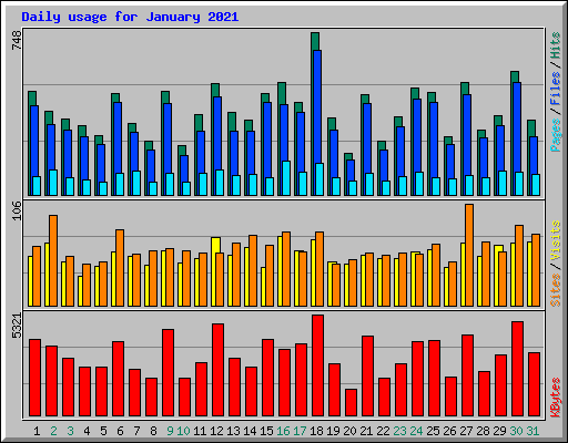 Daily usage for January 2021