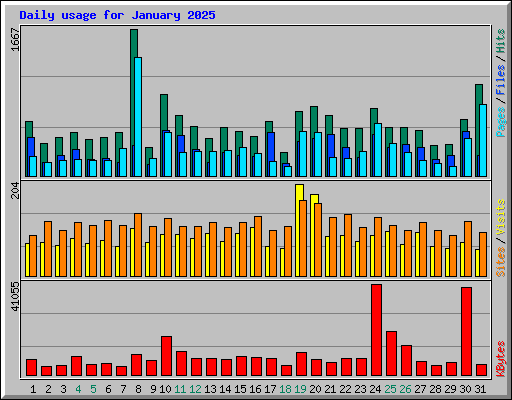 Daily usage for January 2025