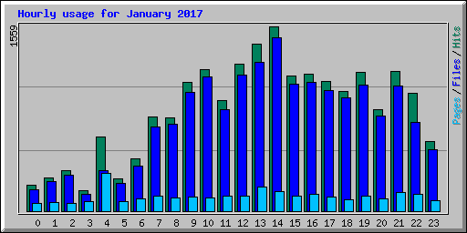Hourly usage for January 2017