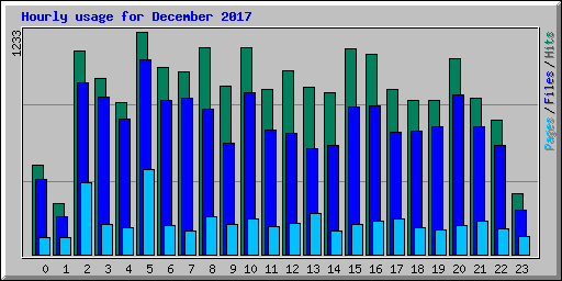 Hourly usage for December 2017
