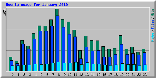 Hourly usage for January 2019