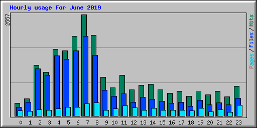 Hourly usage for June 2019