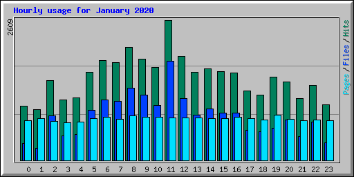 Hourly usage for January 2020