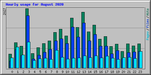 Hourly usage for August 2020