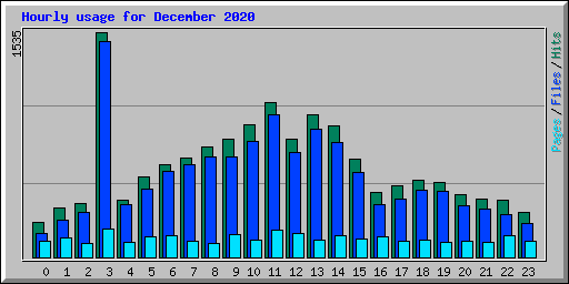 Hourly usage for December 2020