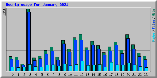 Hourly usage for January 2021