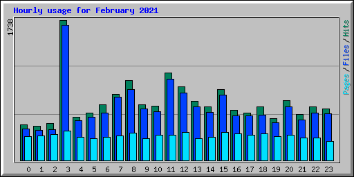 Hourly usage for February 2021