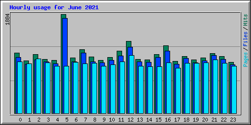 Hourly usage for June 2021