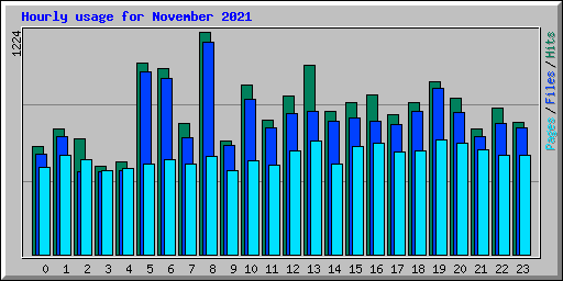 Hourly usage for November 2021
