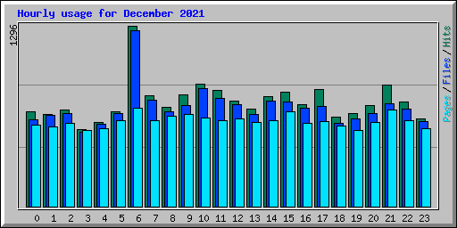 Hourly usage for December 2021
