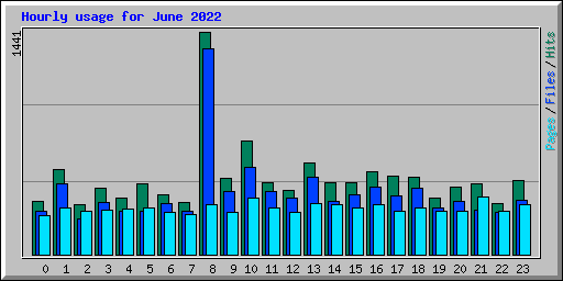 Hourly usage for June 2022