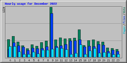 Hourly usage for December 2022