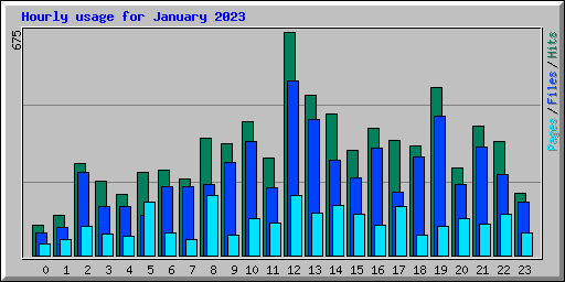 Hourly usage for January 2023