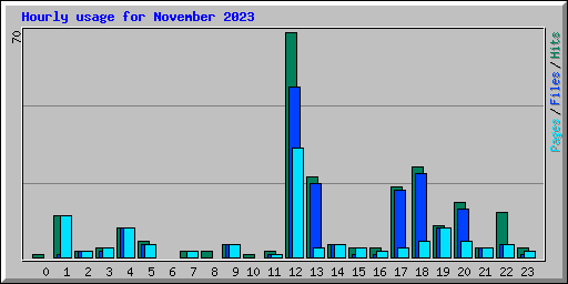 Hourly usage for November 2023