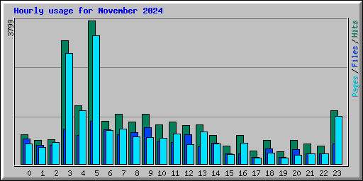 Hourly usage for November 2024