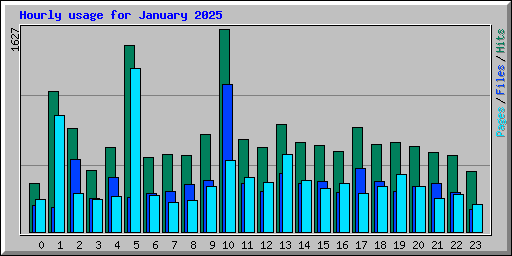 Hourly usage for January 2025