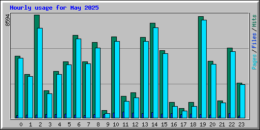 Hourly usage for May 2025