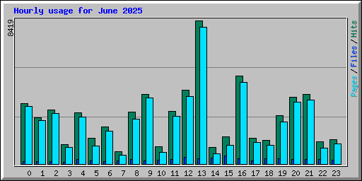 Hourly usage for June 2025