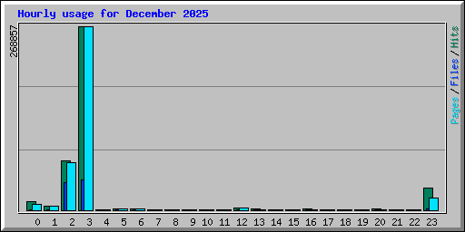 Hourly usage for December 2025