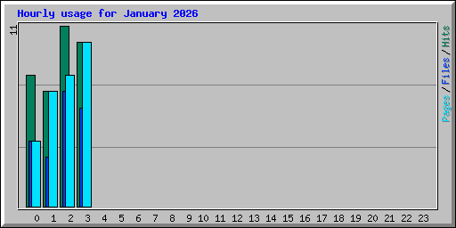 Hourly usage for January 2026