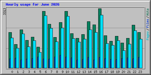 Hourly usage for June 2026
