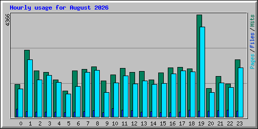 Hourly usage for August 2026
